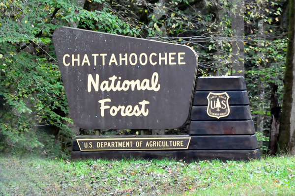 Chattahoochee National Forest Sign